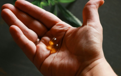 Omega 3 voor optimaal leven: zo maak je in 2026 een bewuste keuze volgens Nutribites